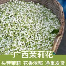 广西茉莉花茶泡水绿茶清香茉莉花蕾花苞花果茶散货批发一件代发