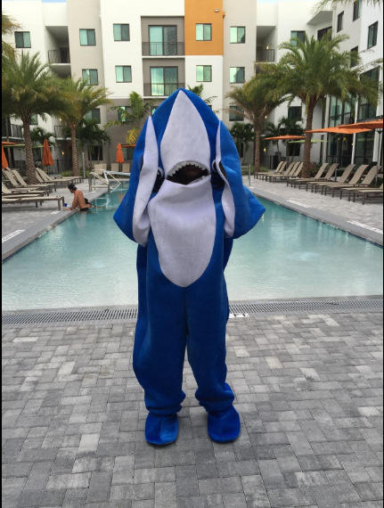 海底世界鲨鱼人偶服装cosplay大白鲨简易行走表演服儿童六一道具