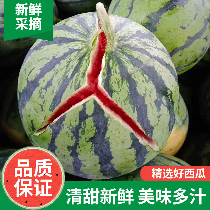 ly冰糖麒麟西瓜超甜8424新鲜薄皮现摘无籽有籽新鲜水果美都西