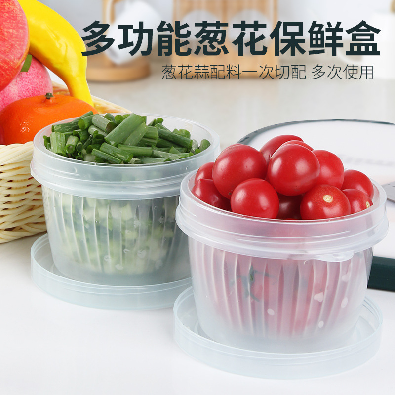 Chopped Green Onion Crisper Kitchen Garlic Ginger Slice Refrigerator Sealed Box Draining Fruit Dried Fruit Box Ginger Garlic Storage Storage Box