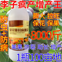 李子催花保果座果保花保果结果多农药防落花落果树花卉蔬菜叶面肥