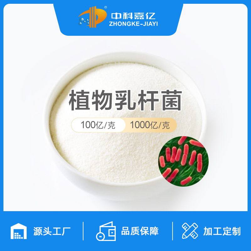 植物乳杆菌100亿益生菌冻干粉乳酸菌粉 牛羊畜禽宠物饲料用菌粉