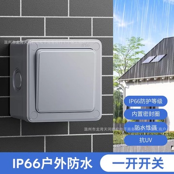 户外ip66级防水开关盒一开二开按钮室外防雨单开双控面板墙壁明装