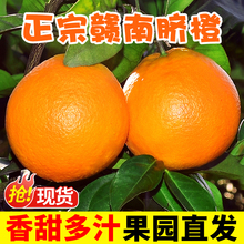 江西赣南脐橙10斤橙子应当季水果新鲜赣州果冻橙冰糖甜橙包邮