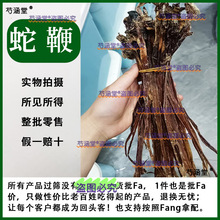 蛇鞭双鞭整条食用大蛇鞭干眼镜蛇五步蛇乌蛇泡酒原料鞭类中药材