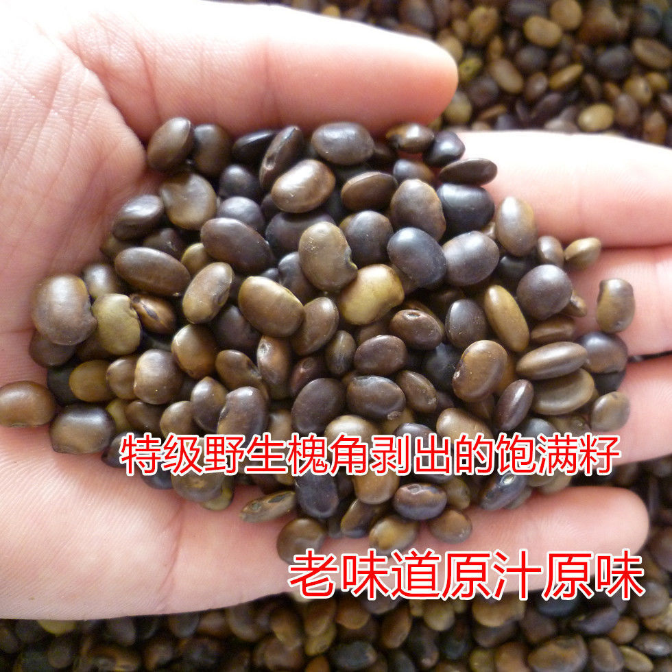 槐豆新槐连豆槐豆籽槐角去皮国槐豆笨槐树豆国槐籽槐树豆
