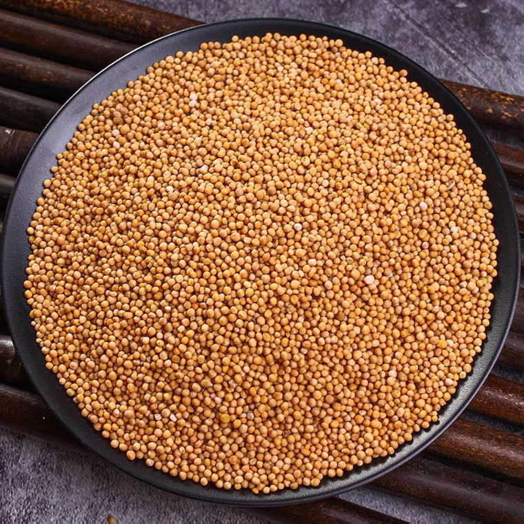 白芥子100g包邮 白介子辣菜子芥菜子白芥籽炒500g