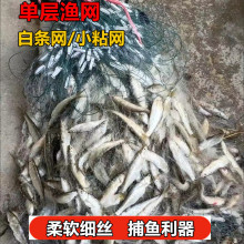 单层渔网粘网白条餐条专用小鱼网丝网沉网浮网捕鱼网沾网6分1脏脏