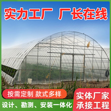 农业温室蔬菜大棚骨架 生态蔬菜棚兰花葡萄种植农业温室大棚厂家