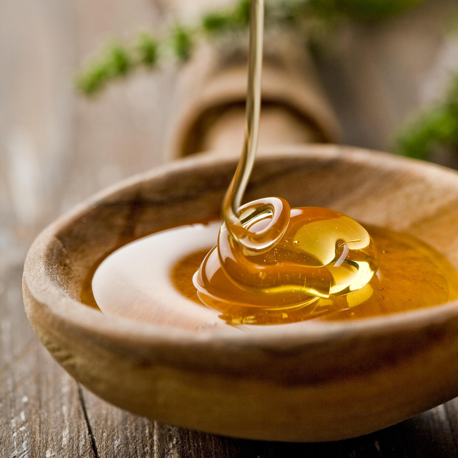 徽县绿蚁康槐花蜜500g瓶装农家洋槐蜂蜜批发源头厂家支持一件代发