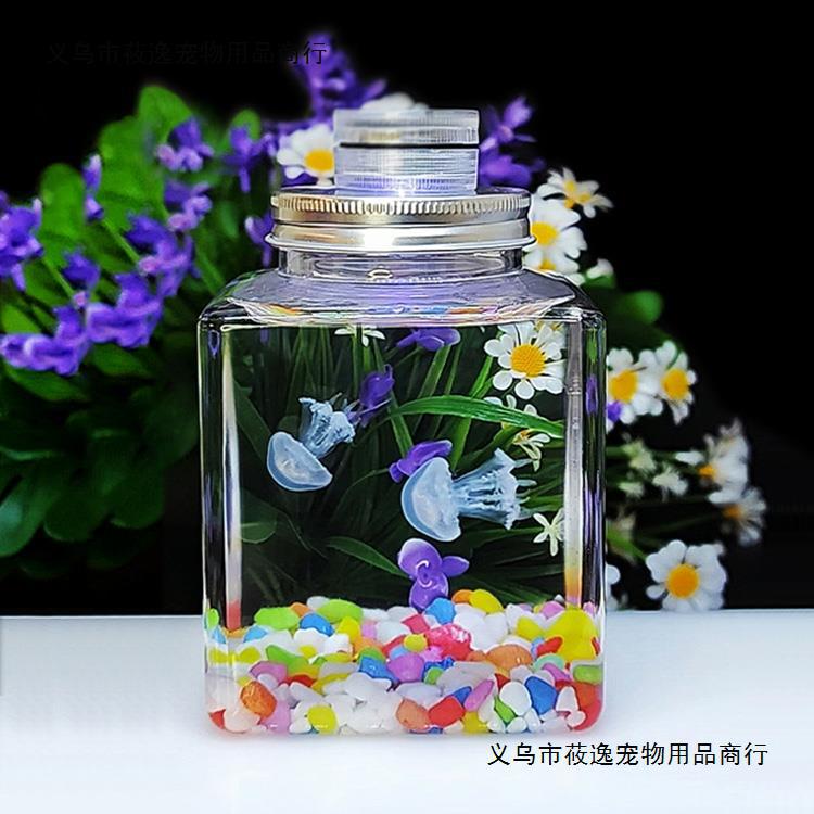 水母活物运输包活方杯发光小赤月水母好养活体丰年虾饲料-阿里巴巴