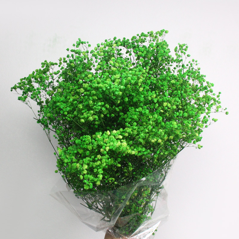 满天星永生花 满天星干花500g花束 花材diy装饰摆件云南产地