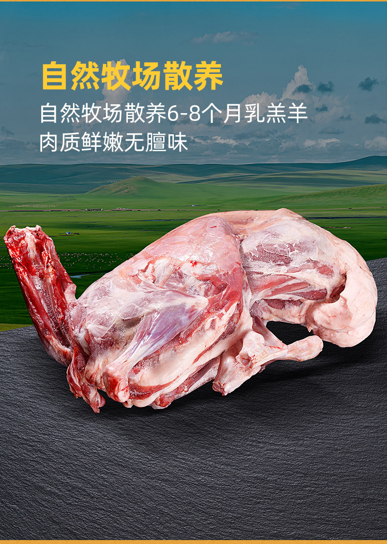 全羊 锡盟烧烤羊腿肉火锅食材去皮羊肉 内蒙古冷冻整只羔羊肉批发