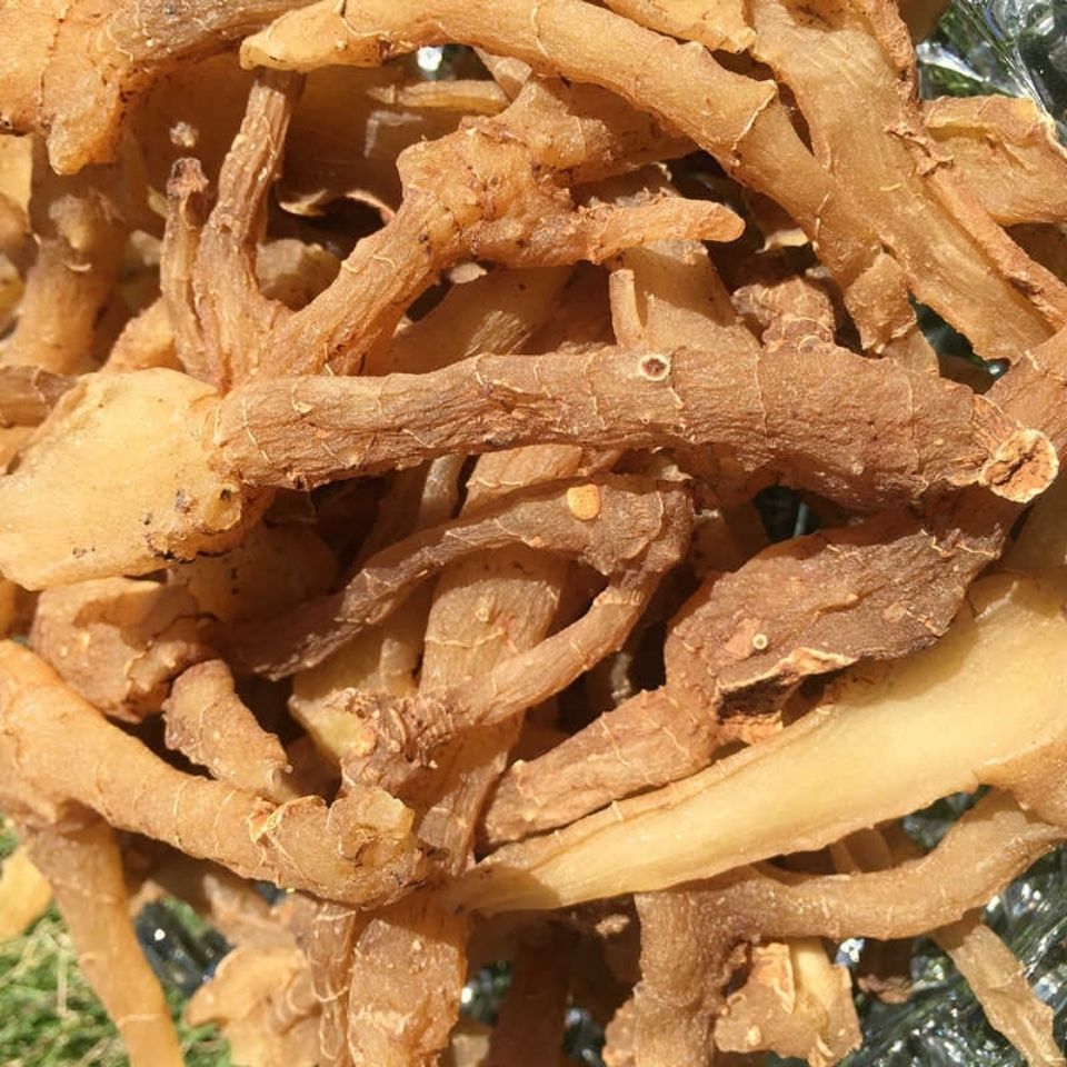 17成交9件白云山伏湿片芡实红豆薏米片驱寒排湿三伏天下火压片糖果一