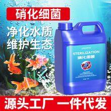 硝化细菌溶液观赏鱼水产养殖净水剂稳定剂清澈剂养鱼硝化细菌大桶