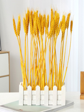 天然麦穗芦苇干花带花瓶家居摆件真花风干花束开业庆典装饰干插花