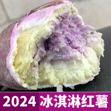 2024广西广东冰淇淋红薯新鲜粉糯一点红番薯现挖花心薯紫心薯5斤
