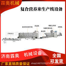 霖奥 RN70速食自热米饭加工机器 人造复合营养大米生产线