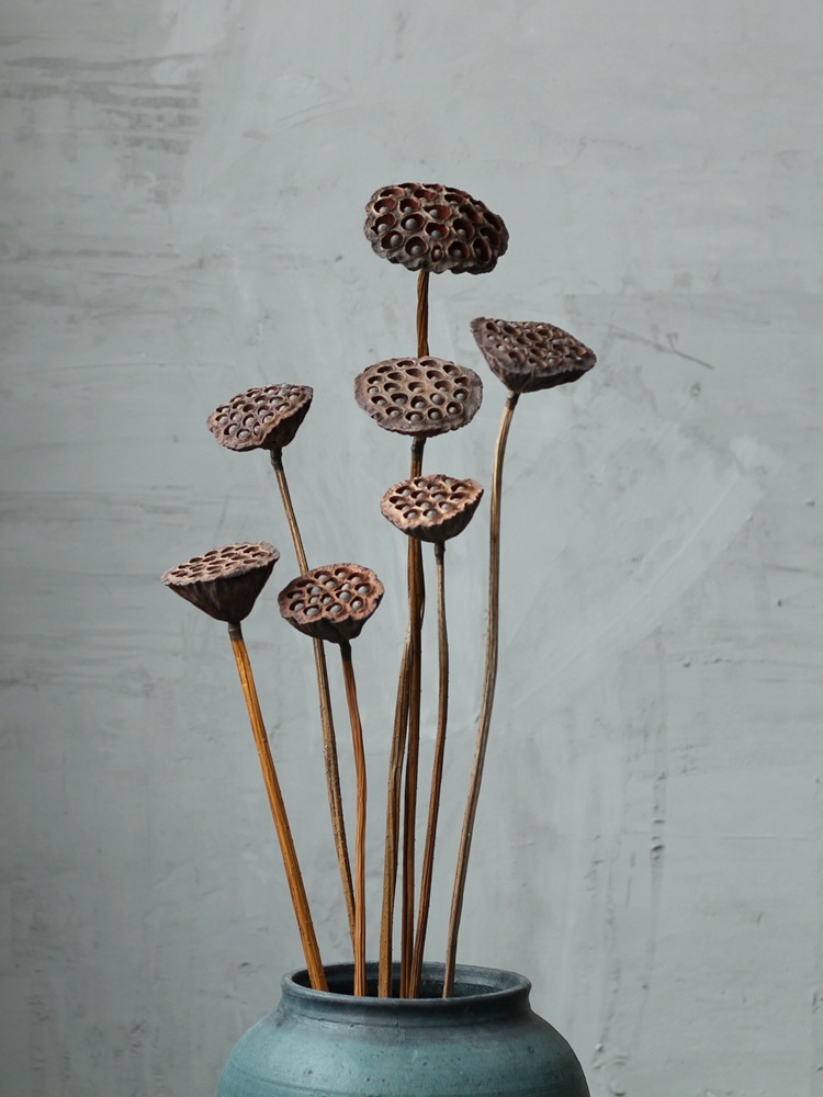 【真杆莲蓬】真杆带莲子干莲蓬原生态落地真莲蓬大莲蓬拍摄道具