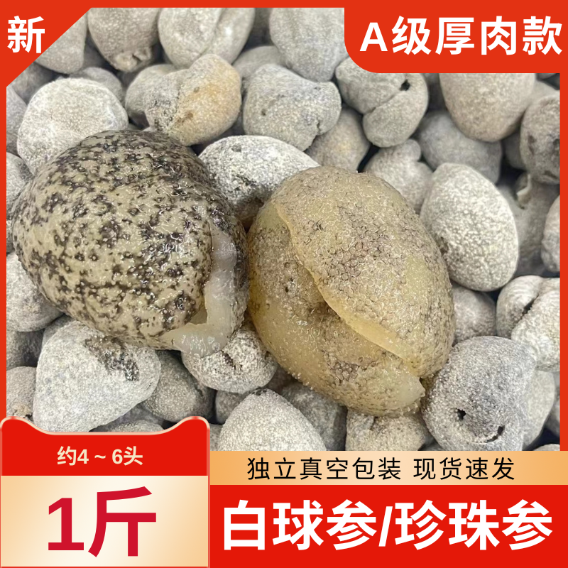 白球参 海参干货饭店家用辽参冷冻水发个大肉鲜 刺参野生珍珠球参