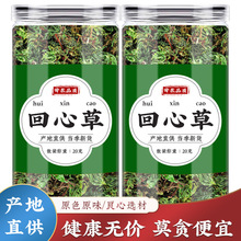 回心草中药材云南新鲜干货批发茴心草茴薪草官方正品泡水喝可批发