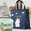 Lunch box bag reticule capacity summer Insulation package portable Lunch Bag packing student Meal Ice pack Lunch box bag reticule capacity summer Insulation package portable Lunch Bag packing student Meal Ice pack