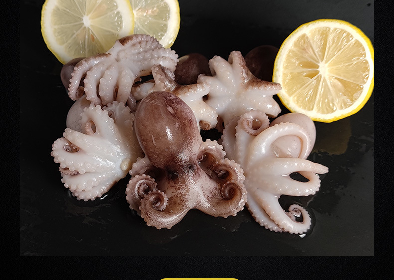 新鲜三去小八爪鱼整只章鱼海鲜麻辣火锅食材小章鱼400克20个