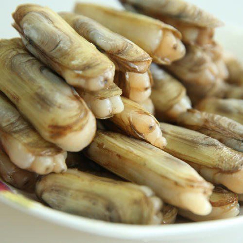 蛏子新鲜野生无沙特大鲜活双头活体贝类海鲜海产品生鲜海鲜水产蛏