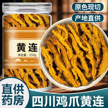 正宗四川黄连中药材黄莲泡水喝鸡爪黄连粉泡茶非肉桂级野生