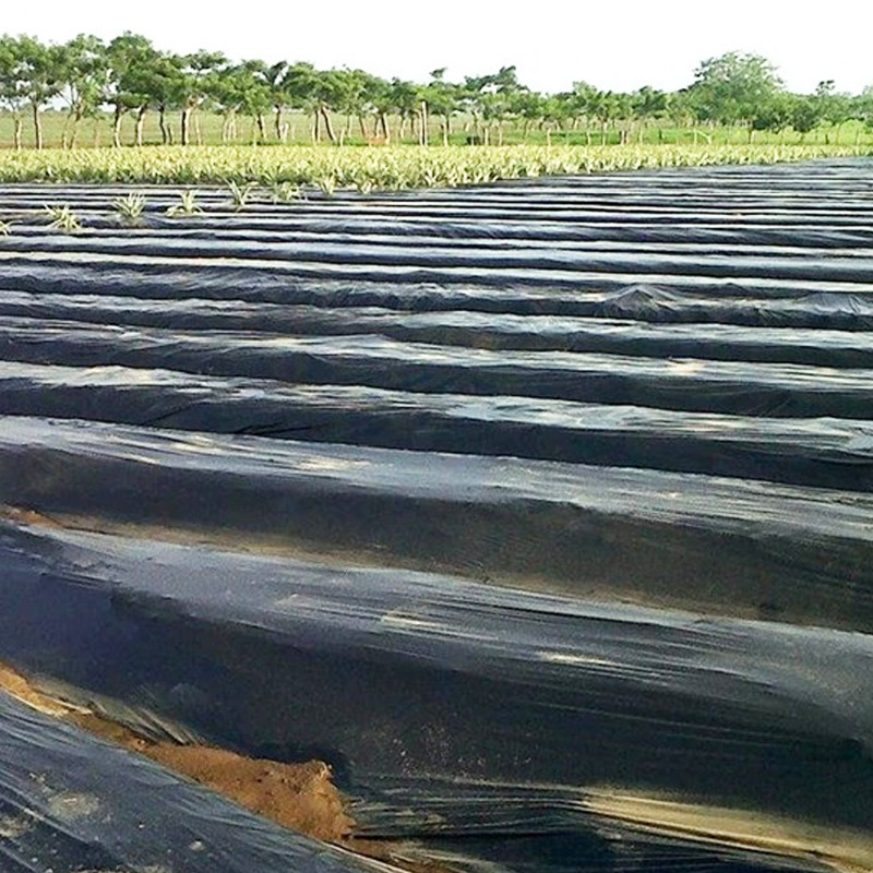 塑料地膜厚度-塑料地膜厚度厂家,品牌,图片,热帖-阿里巴巴