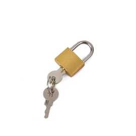 20铜挂锁箱包锁笼子锁