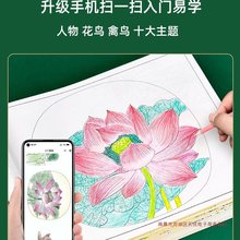 中国画白描临摹画册儿童入门初学国画工笔画底稿线稿描摹本涂色本