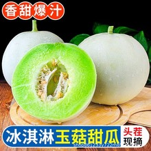 冰淇淋玉菇甜瓜9斤新鲜海南水果当季整箱包邮小香瓜脆蜜瓜哈5密瓜