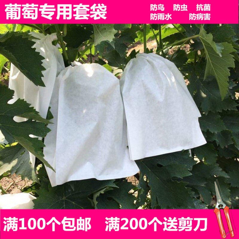 葡萄套袋厂家直销防鸟虫袋露天果袋袋纸袋防雨水袋子一件代发批发