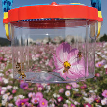 儿童昆虫观察盒鱼虾收集器带放大镜生物观察箱户外探索野采集玩具