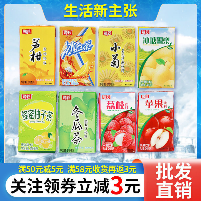 惠尔康菊花茶鹭芳248ml冬瓜茶苹果蜂蜜柚子茶冰红茶果味饮料饮品