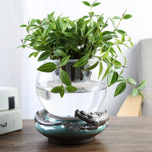 水培花盆玻璃透明鱼缸植物花瓶容器绿萝圆球形鱼缸水养摆件器皿