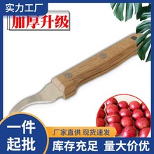 糖葫芦去核器 山楂去核刀 山楂去核机 专用去籽刀工具 去核器批发