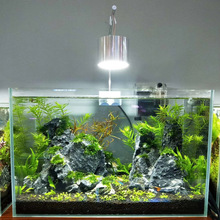 5W鱼缸吊灯LED夹灯鱼缸照明水陆缸造景灯xinma Aquarium lamp