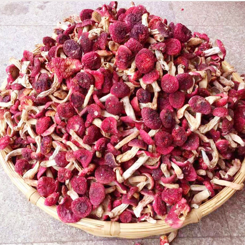 7成交3盒七彩菌汤包云南特产羊肚菌虫草花鸡油菌竹荪菌菇包蘑菇干货