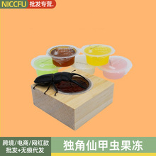 NC甲虫果冻独角仙昆虫果冻台饲料毛象金龟子营养果冻兜虫甲虫饲料