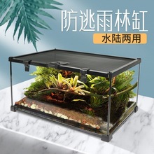 水陆缸超白玻璃缸雨林植物造景角蛙爬虫两栖雨淋生态龟鱼缸爬箱厂