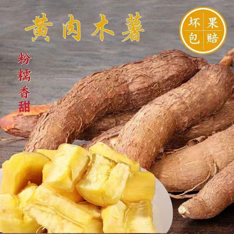广西黄心面包木薯新鲜现挖5斤黄肉食用甜品粉糯香甜自家种植