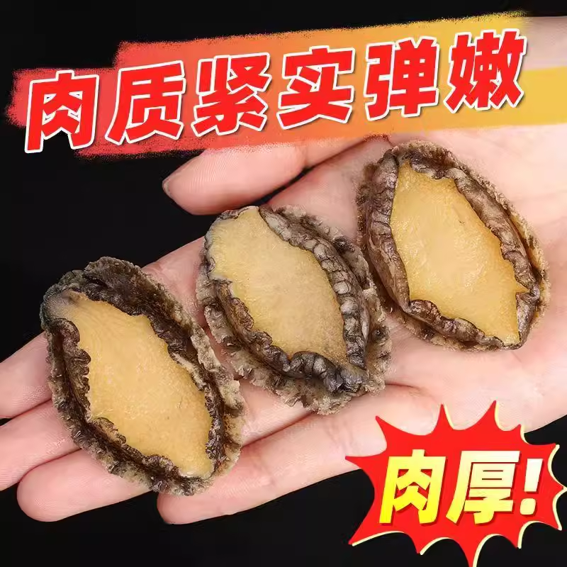 南日岛鲍鱼肉鲜活去壳鲍鱼仔新鲜海捕冷冻大鲍鱼顺丰包邮1斤3斤5