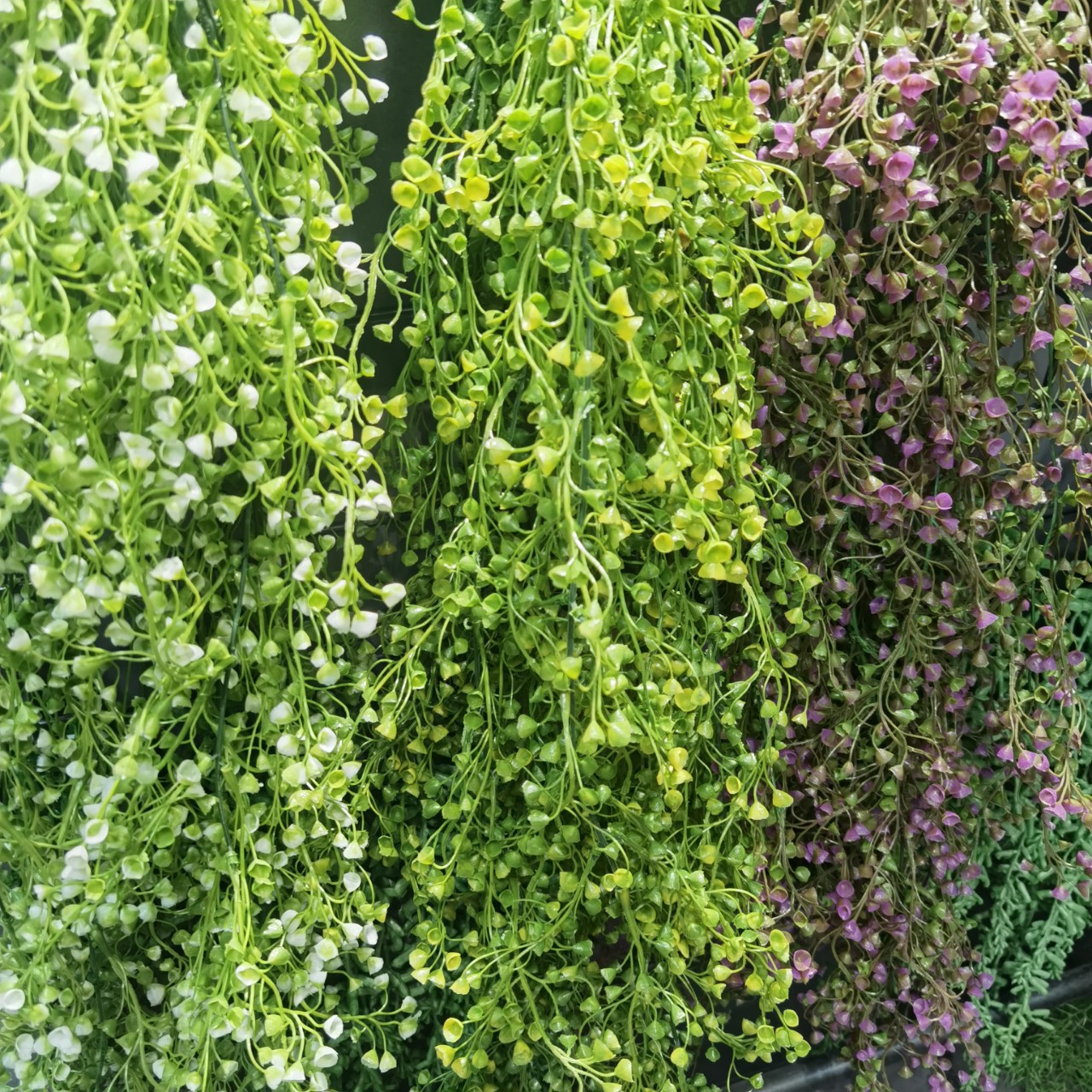 29头吊钟柳垂柳垂藤北欧森系家居酒店样板间植物墙装饰画叶植物藤