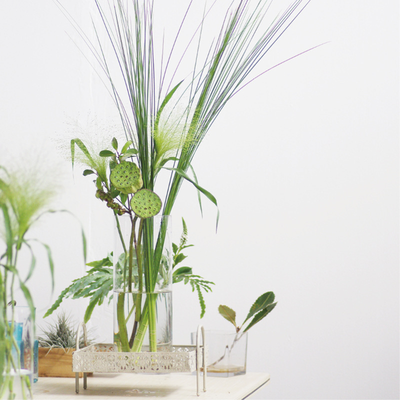 澳大利亚刚草鲜花配草瓶插花艺花材昆明斗南直发顺丰空运直达