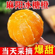 橙子高品质5/9斤新鲜脐橙当季甜纽荷尔孕妇水果冰糖甜橙