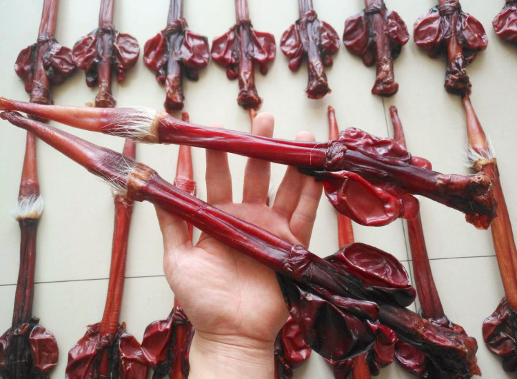 批发长春双阳整枝鹿鞭东北干货鹿鞭 整根牛鞭男用鹿产品 泡酒料