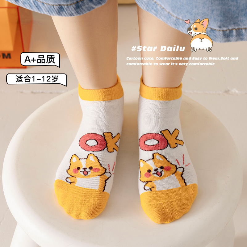 Boys' Socks 24 Spring New Cartoon Corgi Dog Baby Boy Short Socks All-Match and Fresh Students' Socks 1-12 Years Old