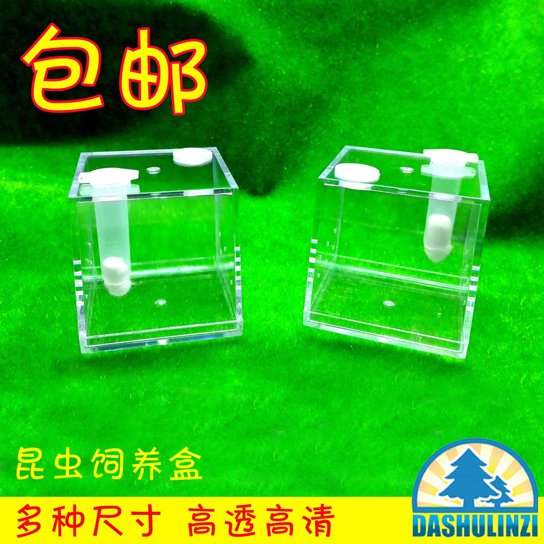 饲养盒高透亚克力跳蛛鸣虫昆虫螳螂甲虫宠物蜘蛛大中小号尺寸